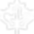maple leaf white.png